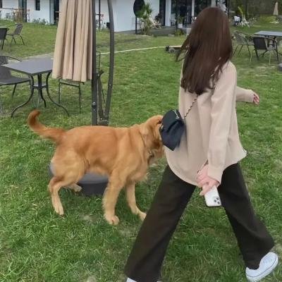 宝贝